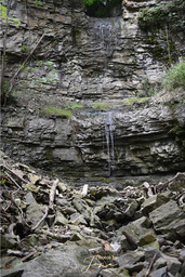 Baby Webster's Falls