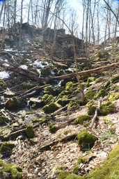 Upper Martin's Falls