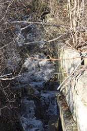 Maple Falls : Frozen