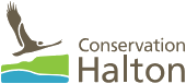 Conservation Haltoc